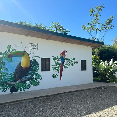 Bambura Bahia Villas Uvita Bagian luar foto